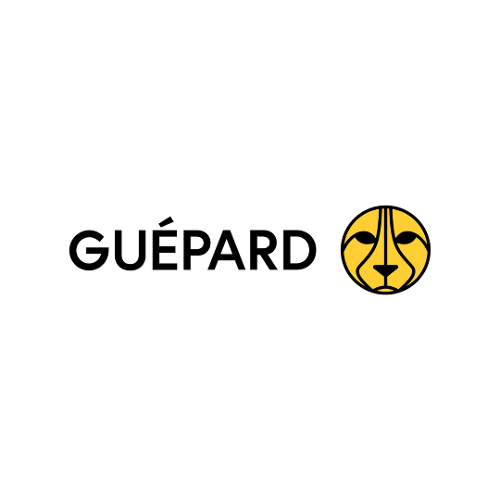 Guépard Communications