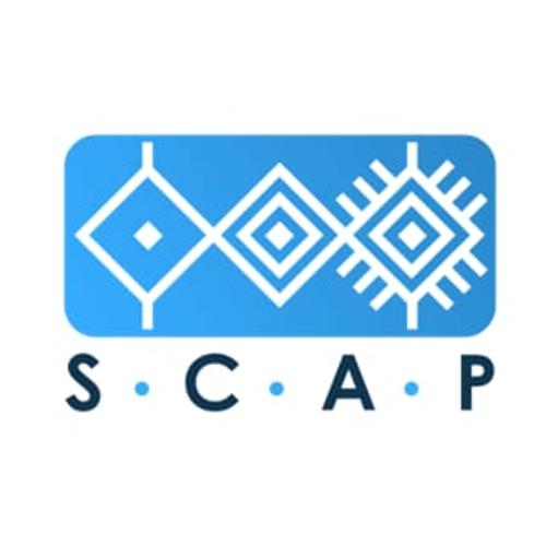 Scap Analysis