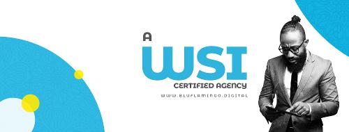 Blu Flamingo Digital Africa 