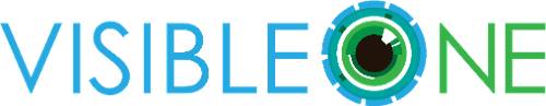 Visible One