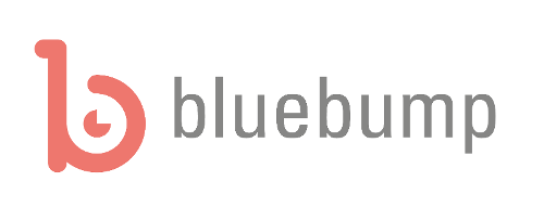www.bluebump.nl